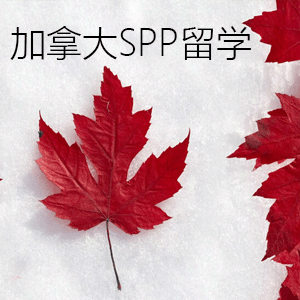 加拿大留学spp计划（spp签证）