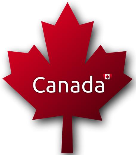 护照过期了但加拿大签证还有效，可以持新旧护照一起出境吗？需要把签证转移到新护照上面吗？