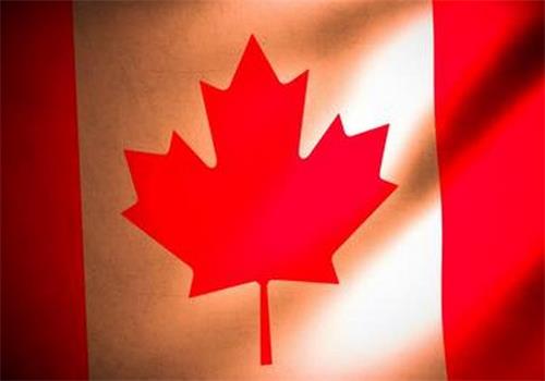 不想在加拿大居住，想回国如何才能保住枫叶卡？应该怎么办？