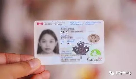 在加拿大生活必不可少的2卡1证！